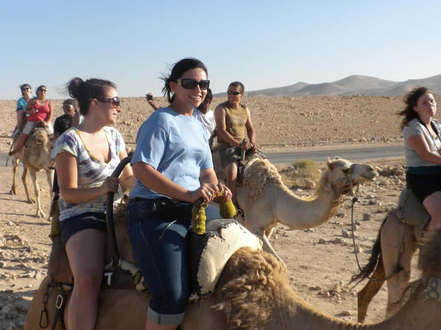 Agadir: Flamingo River Camel Ride with Optional BBQ Dinner - Stopping at the Souss River, Flamingo Dreams and Real Photo Time