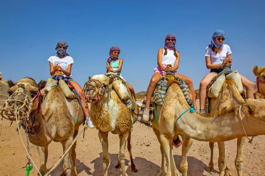 Agadir: Flamingo River Camel Ride with Optional BBQ Dinner - Mint Tea, Moroccan Cakes, and Dinner Choices That Need a Quick Check
