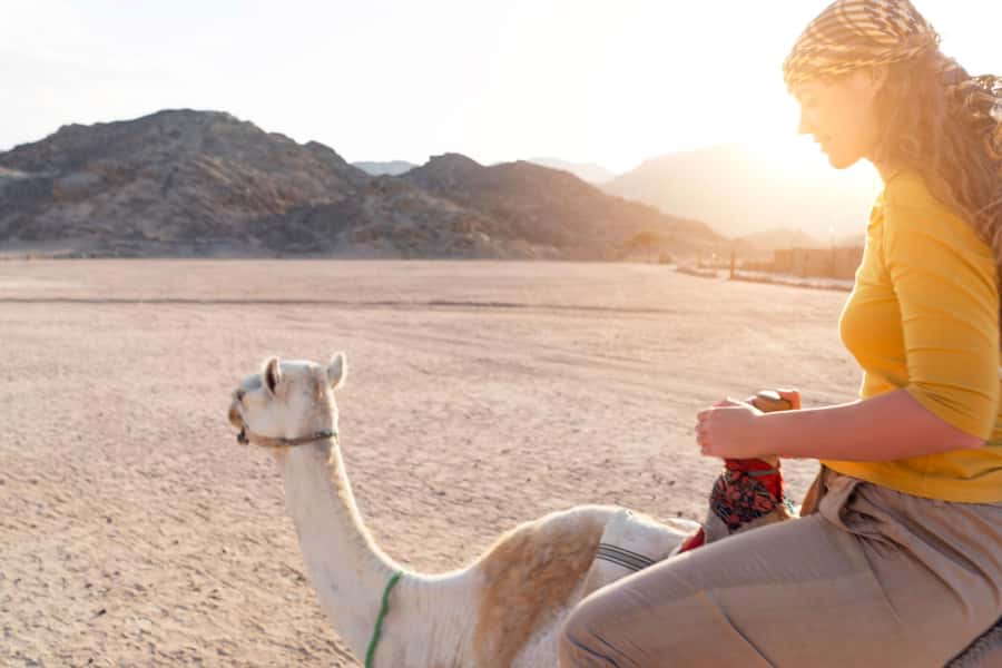 Agadir: Flamingo River Camel Ride with Optional BBQ Dinner - Animal Welfare and Cleanliness: What You Should Pay Attention To