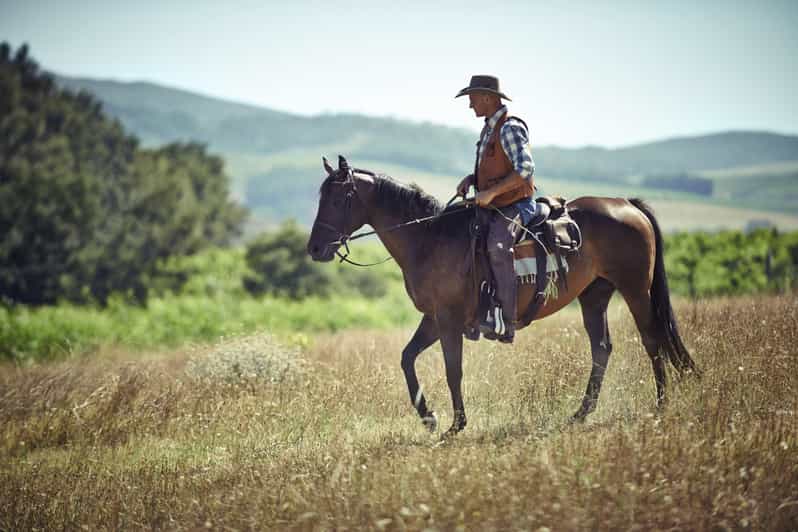Agadir: Forest and Sand Dunes Guided Horse Riding - Key Points to Know Before You Go