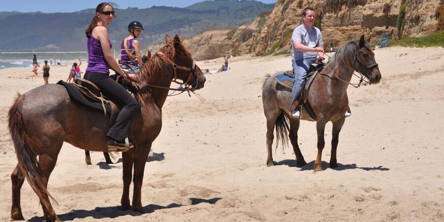 Agadir: Forest and Sand Dunes Guided Horse Riding - Who Should Book This Horse Ride in Agadir, and Who Should Skip It