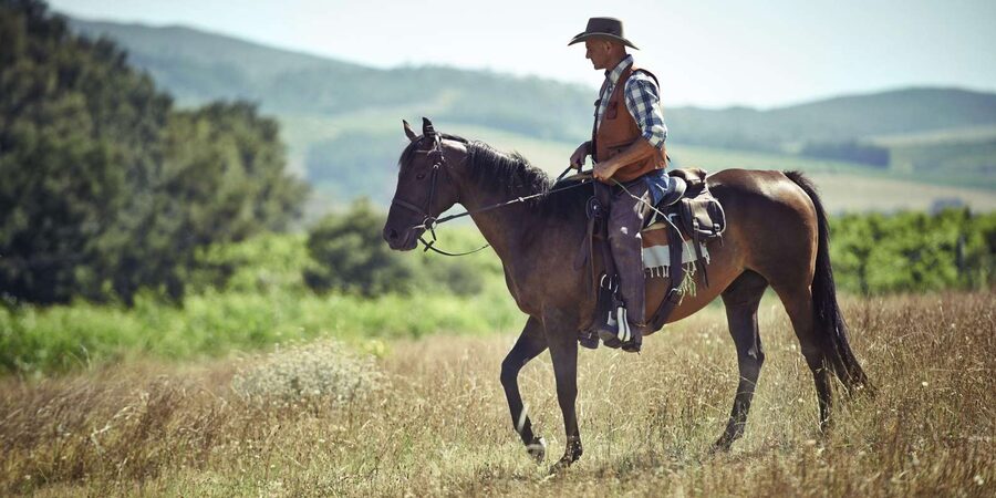 Agadir: Forest and Sand Dunes Guided Horse Riding - From Your Hotel to the Stables in Agadir