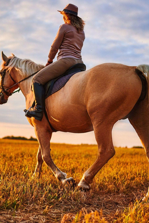 Agadir: Forest and Sand Dunes Guided Horse Riding - Beach Riding and Sand Dunes for Panoramic Agadir Views