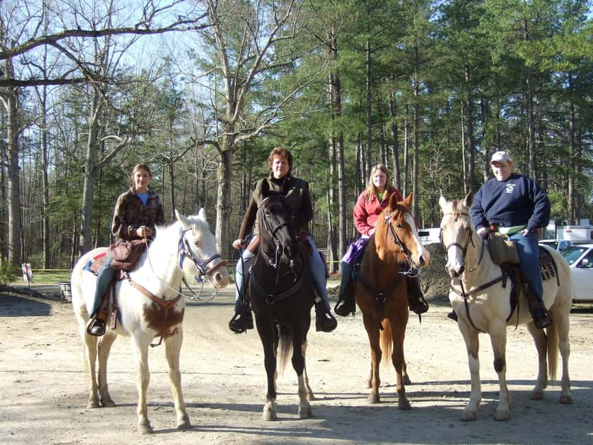 Agadir: Forest and Sand Dunes Guided Horse Riding - Pace Options: Walk, Trot, Canter, and How Beginners Are Protected