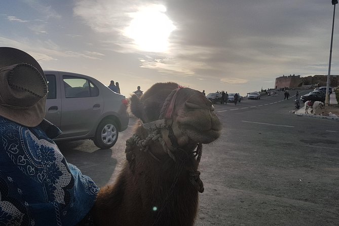 Agadir Guided City Tour Including Hotel pickup - Kasbah Agadir Oufella: Portuguese-Era Ruins, the 1960 Earthquake, and Sea Views