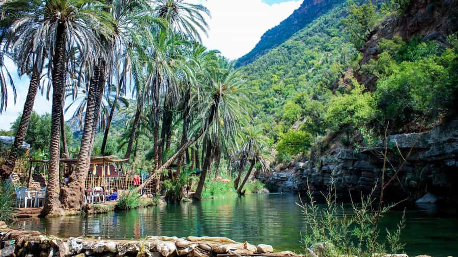 Agadir: Guided Excursion to Paradise Valley - The Paradise Valley drive: what makes this start work