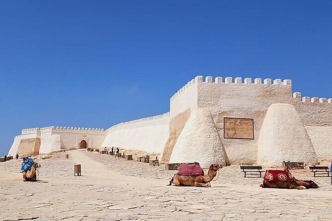Agadir Guided old medina Tour With Hotel Transfer - Key Highlights You Will Feel on This Tour