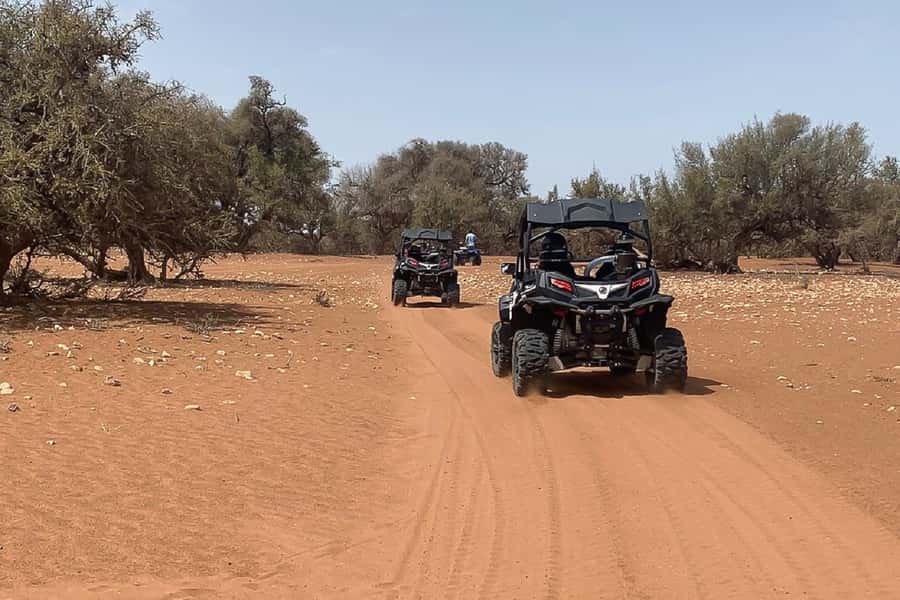 Agadir: Half-Day Desert Dunes Buggy Safari - Hotel Return Before Lunch: Why the Timing Works