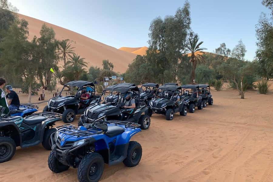 Agadir: Half-Day Desert Dunes Buggy Safari - The 1.5-Hour Buggy Ride: Forest Paths, Sand Dunes, and Real Control