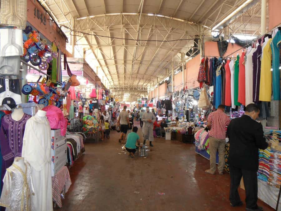 Agadir: Half-Day Guided Tour - Why this 3-hour Agadir plan works so well