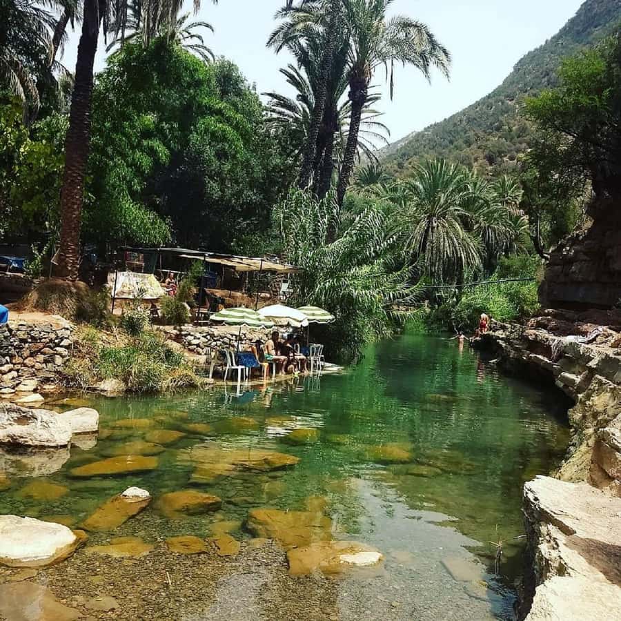 Agadir :Half day Paradise Valley & Atlas Mountains Tour - Guide experience in the real world: names, language, and how to get the most out of them