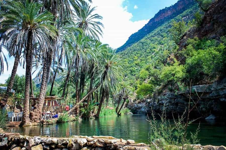 Agadir :Half day Paradise Valley & Atlas Mountains Tour - What to bring, what not to do, and small rules that affect comfort