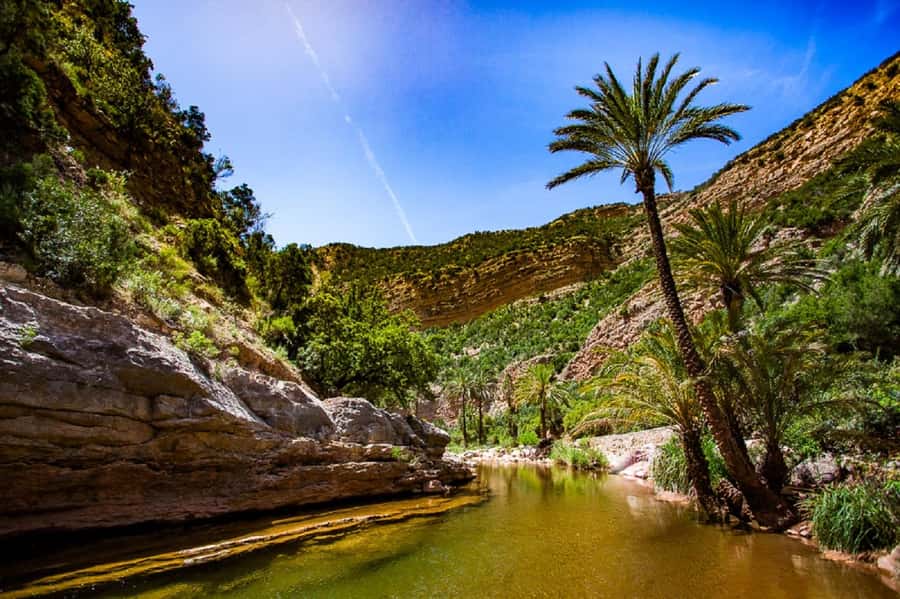 Agadir :Half day Paradise Valley & Atlas Mountains Tour - The Honey Road of Immouzar: small villages, photo stops, and fresh air