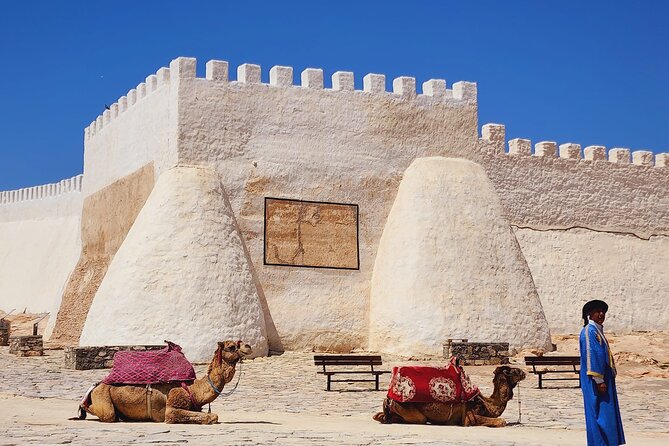 Agadir Half-Day Tour - Kasbah Agadir Oufella: Hilltop Views Plus the 1960 Earthquake Story