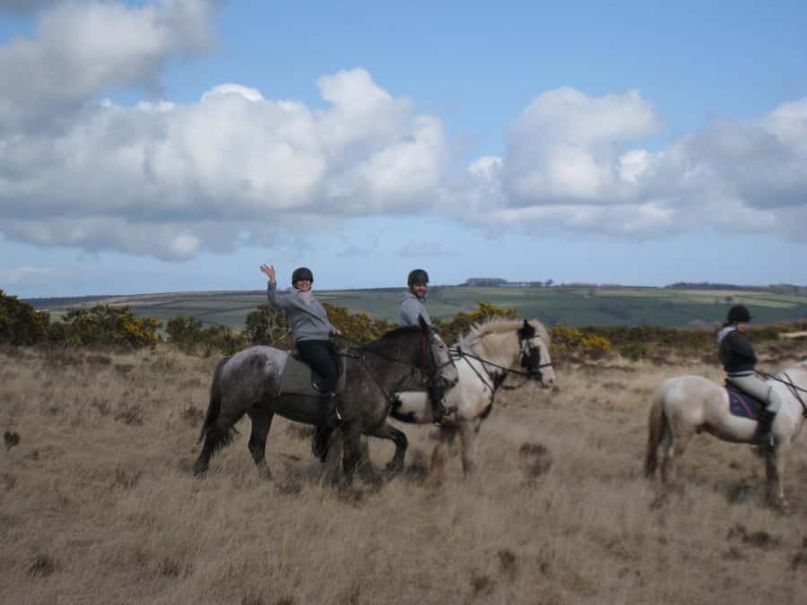 Agadir Horse Riding visite the flamingo river with tea drink - Eucalyptus forest and a beach-side change of scenery
