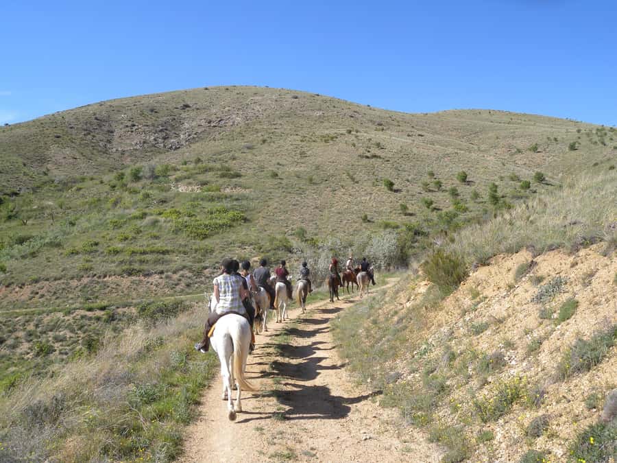 Agadir Horse Riding visite the flamingo river with tea drink - Practical tips to make your ride smoother