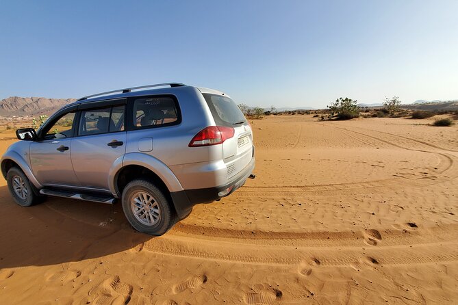 Agadir Jeep Safari Desert Day Trip including Lunch & camel ride - Sous River wildlife stops: what to expect and how to make it count