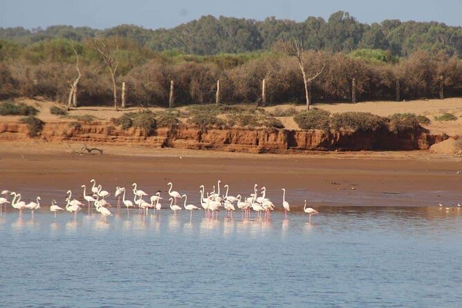 Agadir Jeep Safari Sahara Desert 4x4 Day Tour with Lunch - Pickup, timing, and what an 8-hour day really means