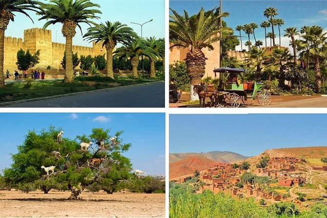 Agadir Morocco: Day Trip To Taroudant & Tiout Oasis with Lunch - How the souks and walking pace really work