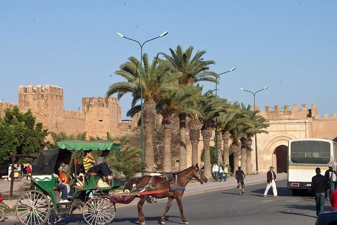 Agadir Morocco: Day Trip To Taroudant & Tiout Oasis with Lunch - Price and value: what $41.87 really buys in an 8-hour day