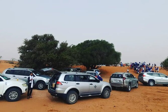 Agadir or taghazout : 4×4 Jeep Sahara Desert Trip with Lunch - Massa River and the bird stop: small time, big payoff when luck hits