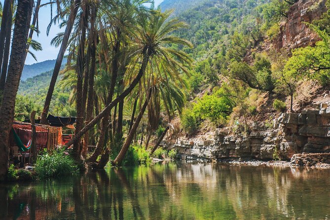 Agadir or Taghazout: Paradise Valley Atlas Mountain Swimming Trip - Key highlights to look for before you go