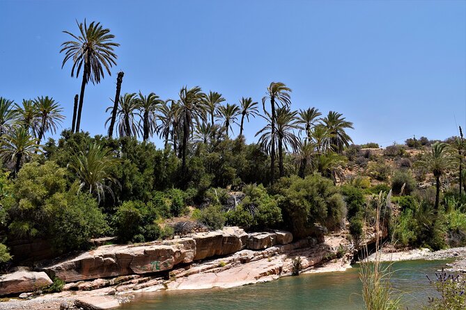 Agadir or Taghazout: Paradise Valley Atlas Mountain Swimming Trip - A 6-hour Agadir plan that feels like two trips in one