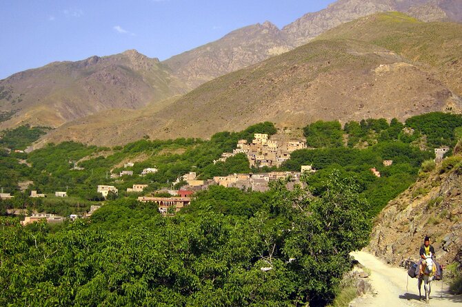 Agadir or Taghazout: Paradise Valley Atlas Mountain Swimming Trip - What you should pack for this Agadir coast to Paradise Valley day