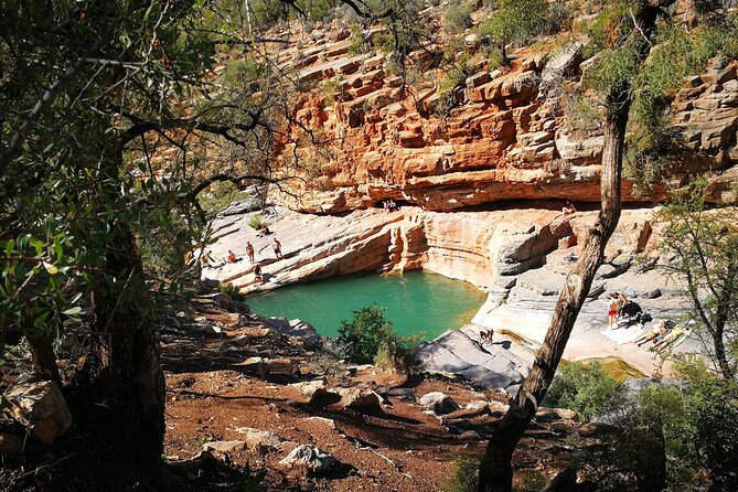 Agadir or Taghazout: Paradise Valley Atlas Mountain Swimming Trip - Price and value: why this feels like a bargain at $18.58