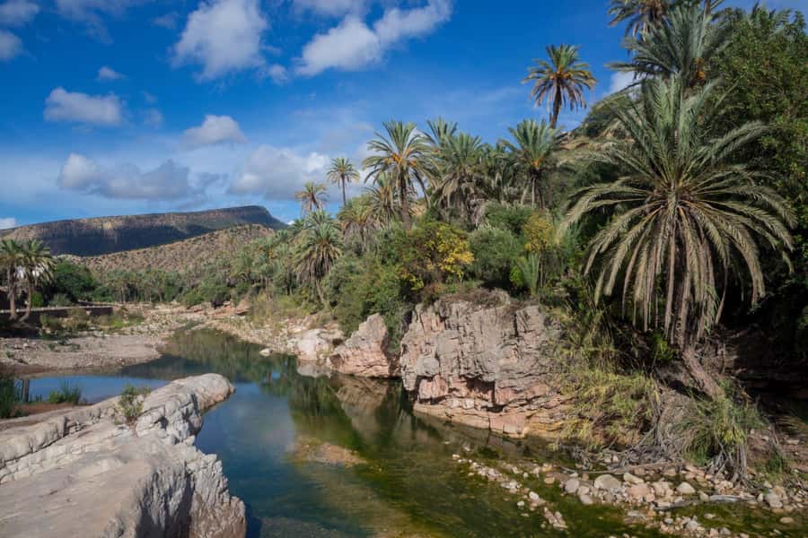 Agadir or Taghazout: Paradise Valley Atlas Mountain Trip - Timing and group flow: how you get back early and still feel satisfied
