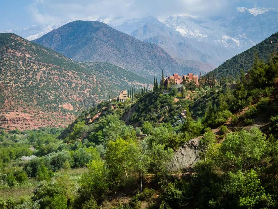 Agadir or Taghazout: Paradise Valley Atlas Mountain Trip - Should you book this Paradise Valley Atlas Mountain trip?