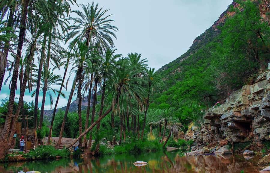 Agadir or Taghazout: Paradise Valley Atlas Mountain Trip - The Atlas Mountain drive: gorges, villages, and viewpoints