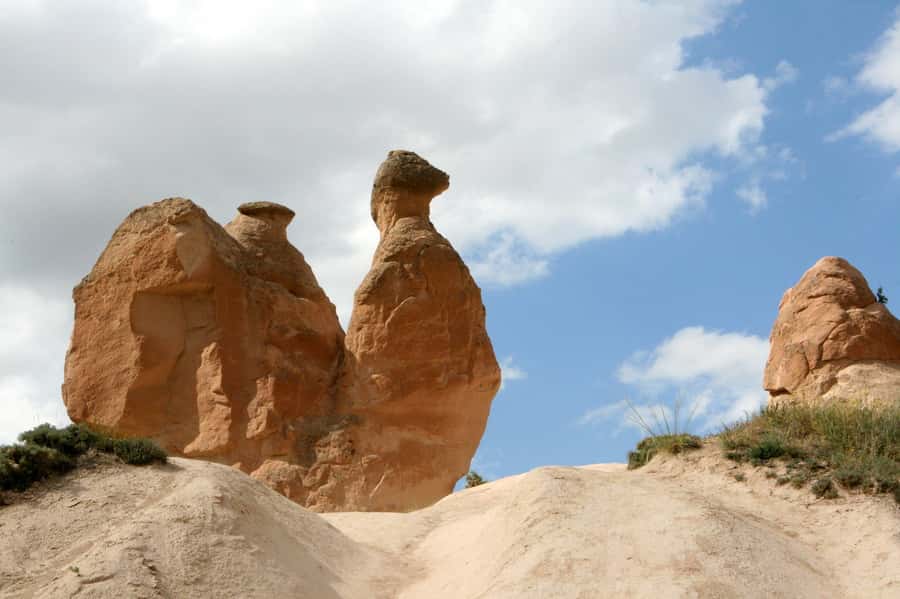 Agadir or Taghazout: Paradise Valley Atlas Mountains - Optional Upgrades That Change the Vibe