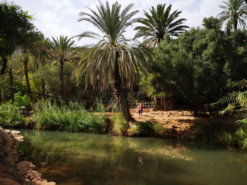 Agadir or Taghazout: Paradise Valley Atlas Mountains Tour - Best time to go and how to set expectations about the water