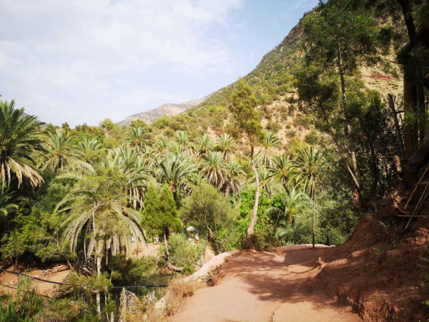 Agadir or Taghazout: Paradise Valley Atlas Mountains Tour - Women’s Argan oil center: culture plus real shopping freedom