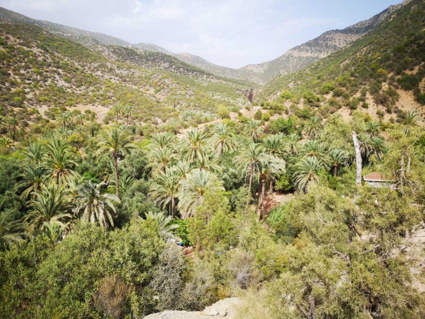 Agadir or Taghazout: Paradise Valley Atlas Mountains Tour - Safety, fitness, and who this tour is really for