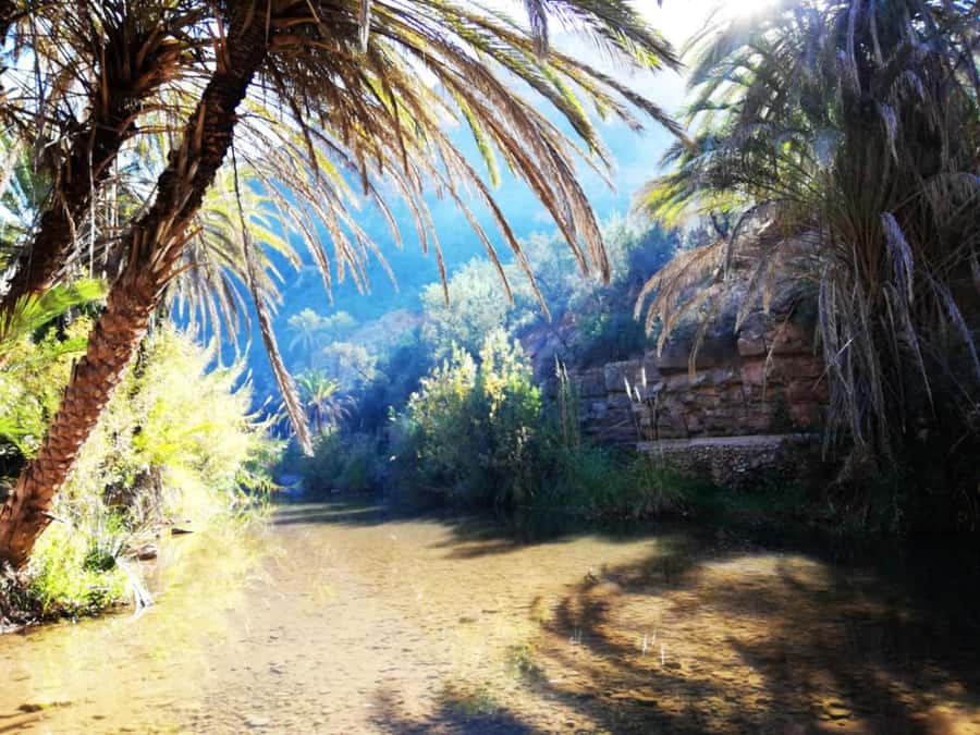Agadir or Taghazout: Paradise Valley & Atlas Mountains Trip - Price check: why $16 can feel like a smart deal