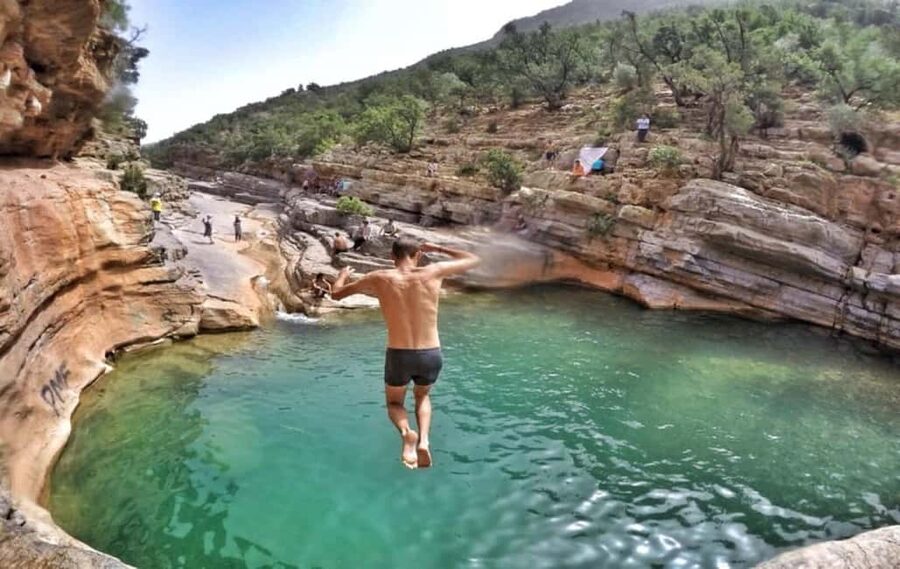 Agadir or Taghazout: Paradise Valley with Lunch & Transfers - From Agadir or Taghazout to Paradise Valley: The Drive Sets the Tone