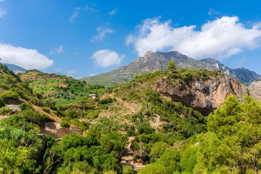 Agadir or Taghazout: Paradise Valley with Lunch & Transfers - Women’s Argan Oil Center: Shopping With a Purpose