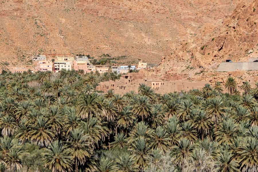 Agadir or Taghazout: Paradise Valley with Lunch & Transfers - Pickup timing, ride comfort, and how long you are really gone