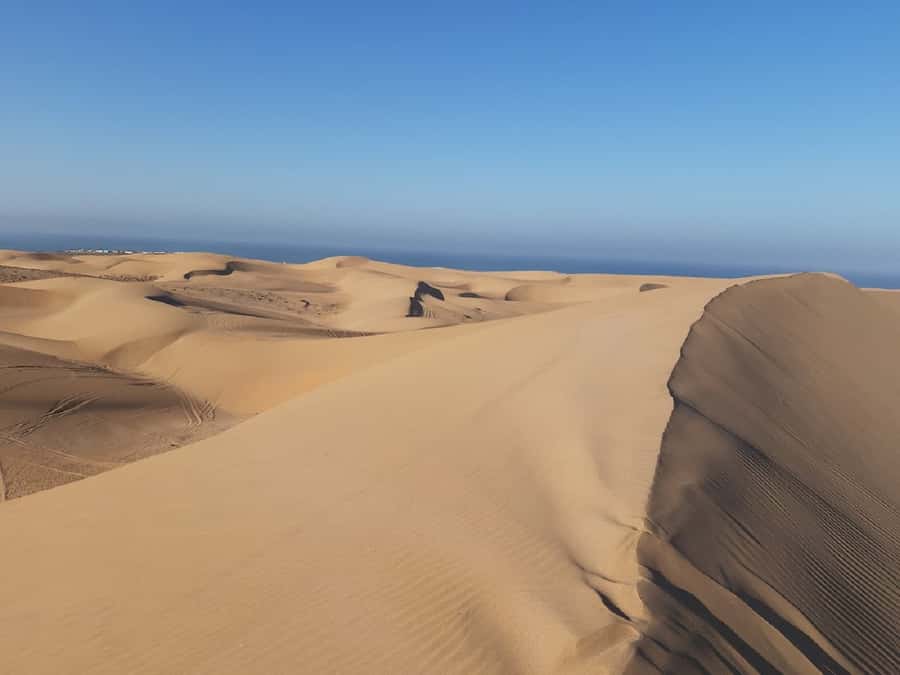 Agadir: Paradise Valley & Desert Sand Dunes with Camel Ride - Price and value: is $96 a fair deal?