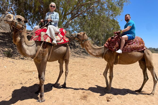 Agadir Quad ATV Adventure Tour with Berber Tea Experience - Price and Value: Is $37.67 a Fair Deal?