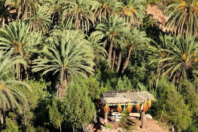 Agadir Quad Biking on the Beach & Sandboarding in the Desert - Price and value in real terms