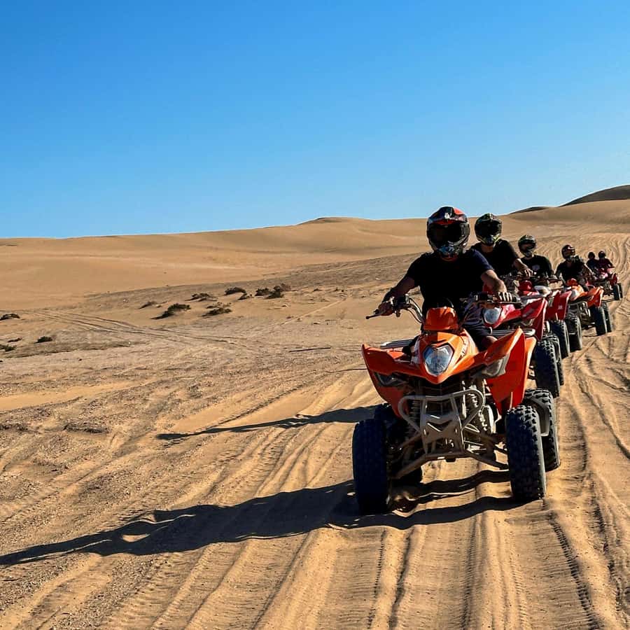Agadir: Quad Biking Ride Desert Adventure - The quad route: rocky trails, dry riverbeds, and argan-tree country