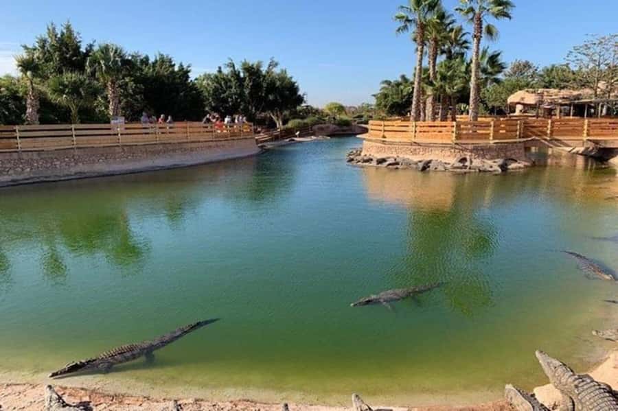 Agadir: Quad Safari with Crocoparc Optional - Small-group feel: why the max 8 matters