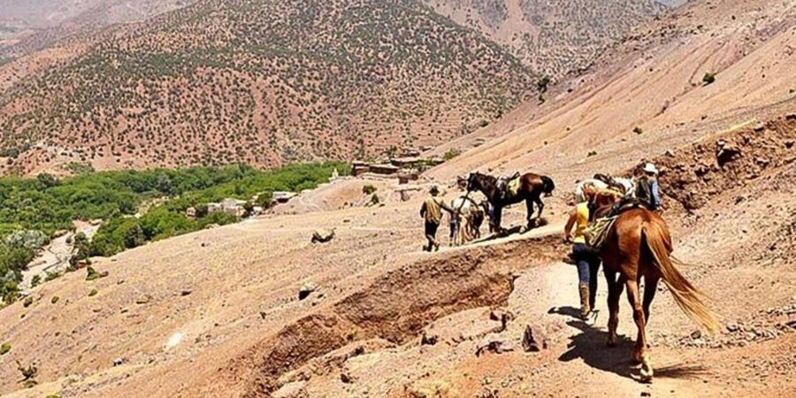 Agadir: Quad Safari with Crocoparc Optional - Crocoparc optional add-on: crocodiles, gardens, and that optional zip line