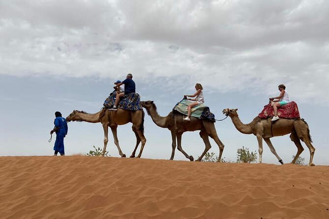 Agadir Sahara Day Trip with Lunch - Banana plantation, small desert, and oasis photo break
