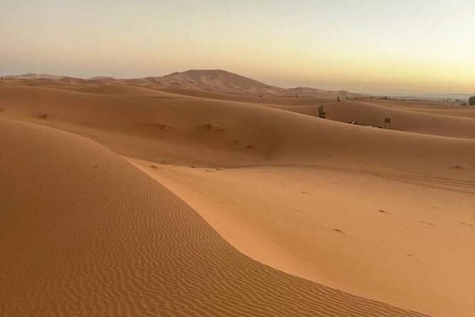 Agadir Sahara Day Trip with Lunch - Berber villages: cultural stops that add meaning