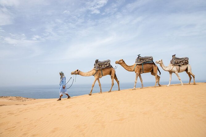 Agadir Sand Dunes and Camel Ride in Tifnit with Lunch - From Agadir to Tifnit Sand Dunes: the point of the trip