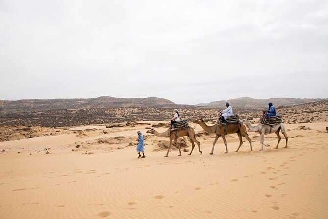 Agadir Sand Dunes and Camel Ride in Tifnit with Lunch - The 8:00 am start: why an early pickup changes the day